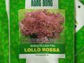 Giống Xà Lách Tím LOLLO ROSA